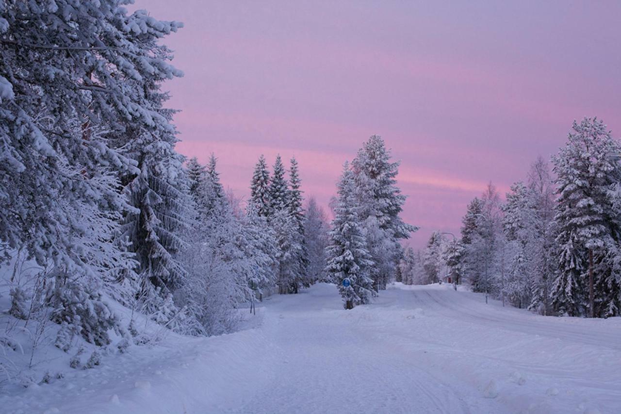 Terra Ultima Villa Rovaniemi Exteriör bild