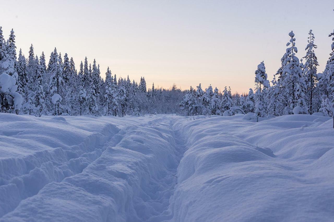 Terra Ultima Villa Rovaniemi Exteriör bild